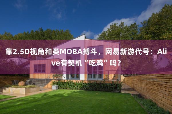 靠2.5D视角和类MOBA搏斗，网易新游代号：Alive有契机“吃鸡”吗？