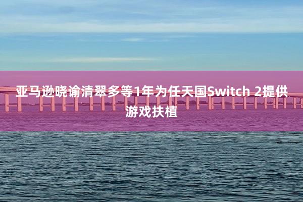 亚马逊晓谕清翠多等1年为任天国Switch 2提供游戏扶植