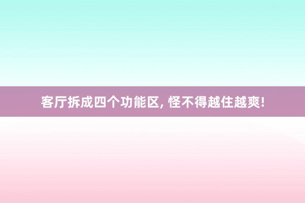 客厅拆成四个功能区, 怪不得越住越爽!