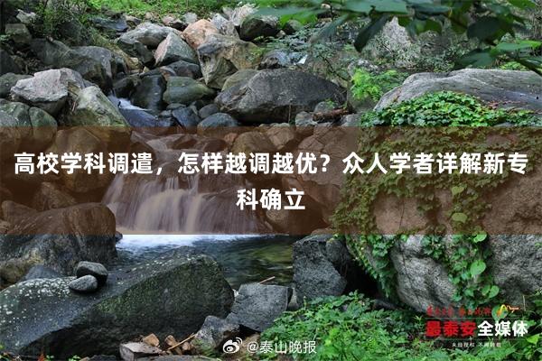 高校学科调遣，怎样越调越优？众人学者详解新专科确立