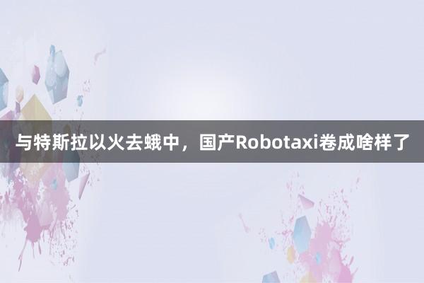 与特斯拉以火去蛾中，国产Robotaxi卷成啥样了