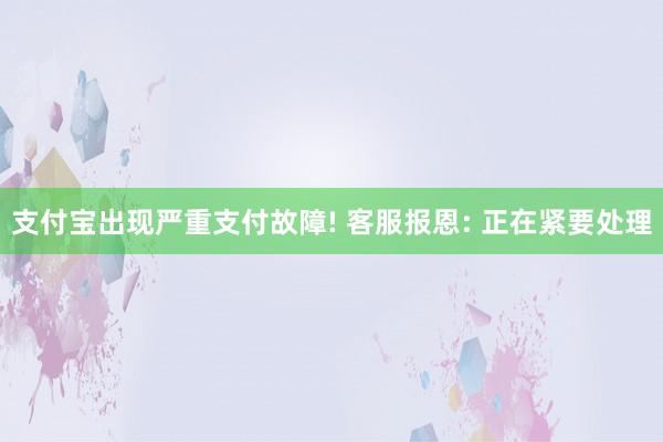 支付宝出现严重支付故障! 客服报恩: 正在紧要处理